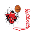 Club Toros