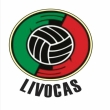 Liga de Voleibol de Casanare